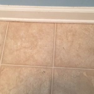 Meet your Posher, Artemus